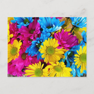 Multicolored Sunflower Postcard