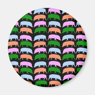 Multicoloured Hogs Magnet