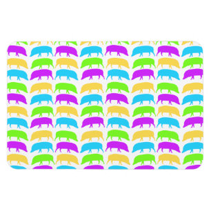 Multicoloured Hogs Yellow Green Purple Blue Premiu Magnet