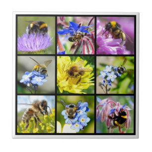 Multiple bees and bumblebees tile