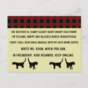 MULTIPLE CHOICE CAT POSTCARDS FOR BUSY PERSON