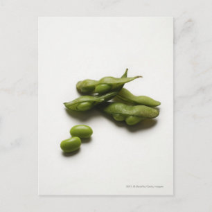multiple green edamame beans with pea pod broken postcard