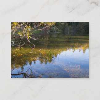 Multiple Reflections Business Card