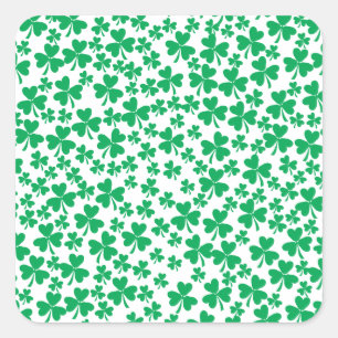 Multiple Shamrocks Square Sticker