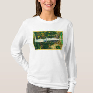 Multnomah Falls and Benson Foot Bridge T-Shirt