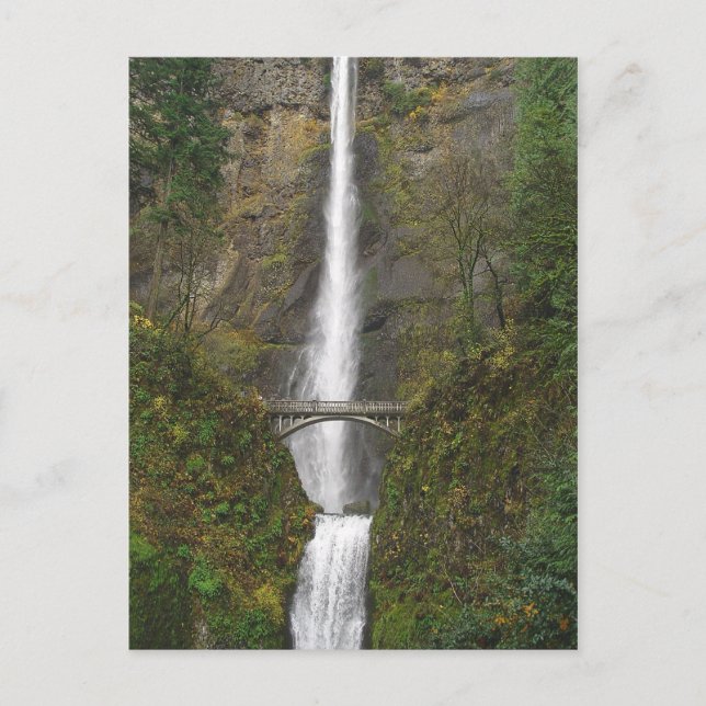 Multnomah Falls and Benson Footbridge Postcard (Front)