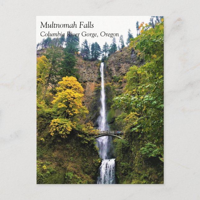 Multnomah Falls, Columbia River Gorge, Oregon Post Postcard (Front)