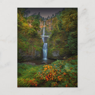 Multnomah Falls Columbia River Gorge, Oregon Postcard