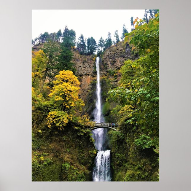 Multnomah Falls, Columbia River Gorge, Oregon Poster (Front)