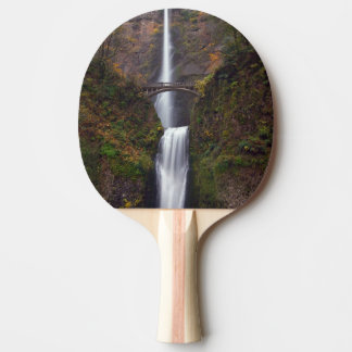 Multnomah Falls in late Autumn Ping Pong Paddle