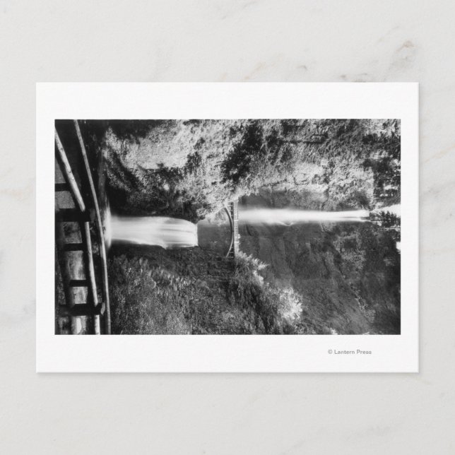 Multnomah Falls PhotographColumbia River, OR 2 Postcard (Front)