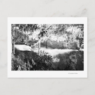 Multnomah Falls PhotographColumbia River, OR Postcard