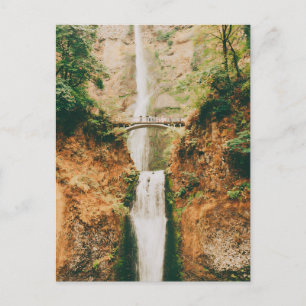 Multnomah Falls  Postcard