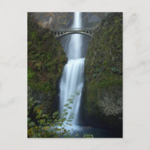 Multnomah Falls Postcard