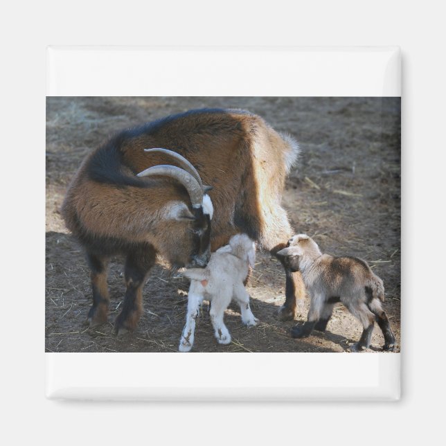 Mum and Babies Magnet (Front)