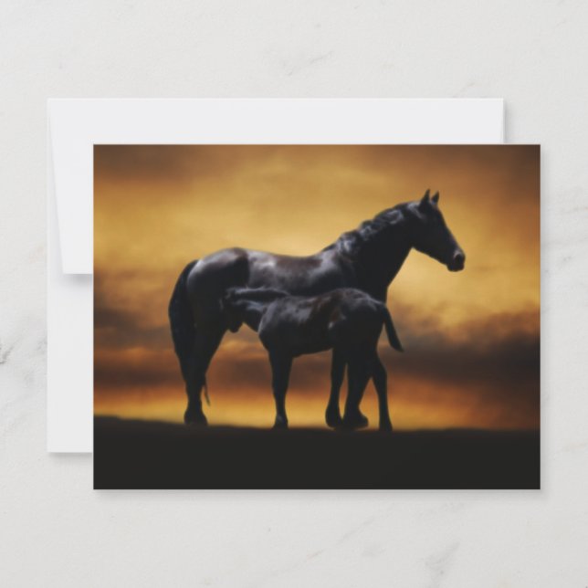 Mum and Baby colt (Front)