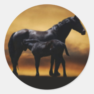Mum and Baby colt Classic Round Sticker