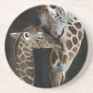 Mum and Baby Giraffe Cuddle Coaster