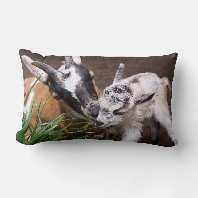Mum and Baby Goat Lumbar Cushion (Front)