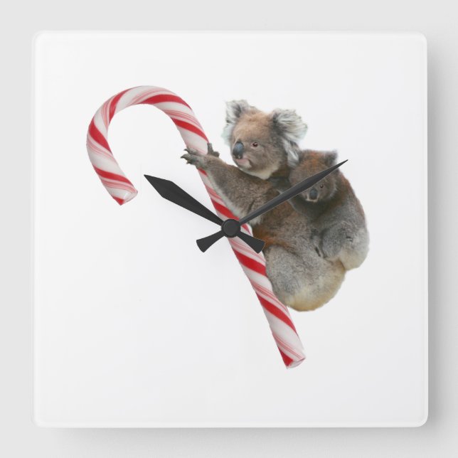 Mum and Joey Koala Candy Cane Christmas Square Wall Clock (Front)