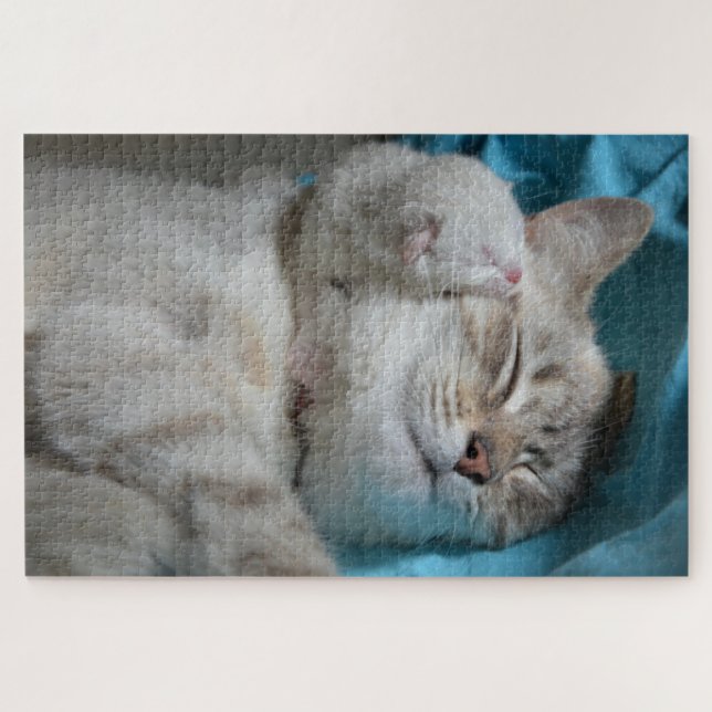 mum and kitten puzzle (Horizontal)