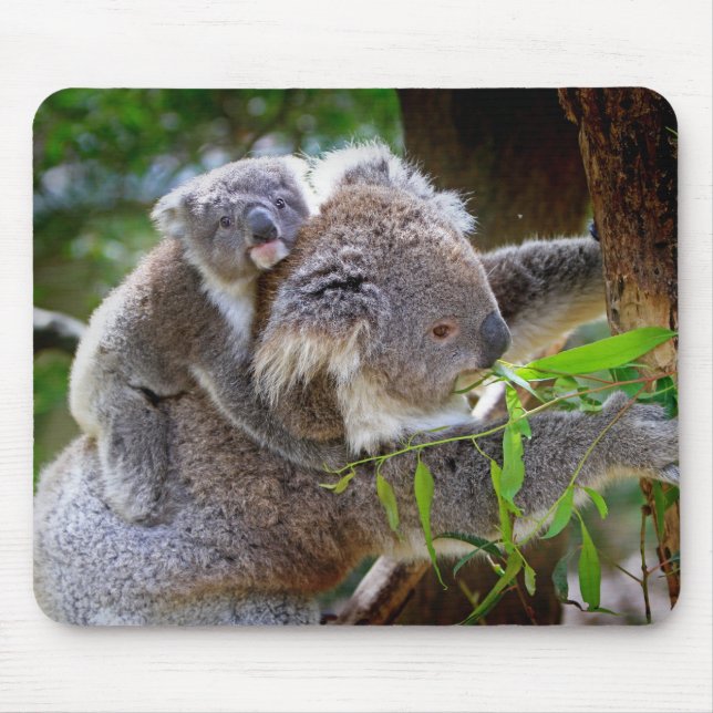 Mum and son Koala Mouse Pad (Front)