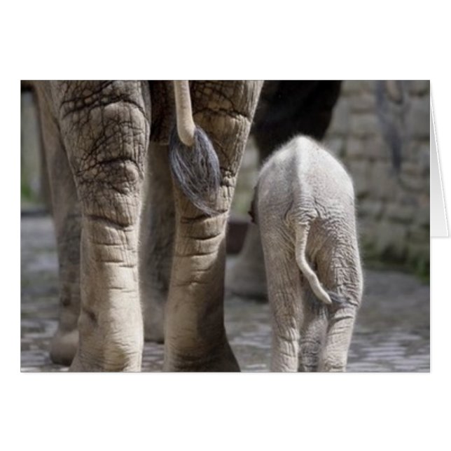 Mum & Baby (Front Horizontal)