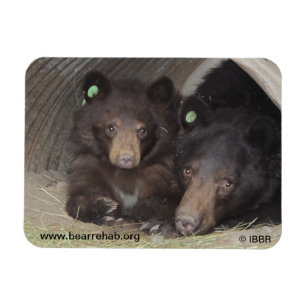 Mum & cub 2013 Premium Flexi Magnet