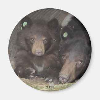 Mum & cub 2013 Round Magnet