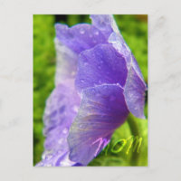 Mum Flower