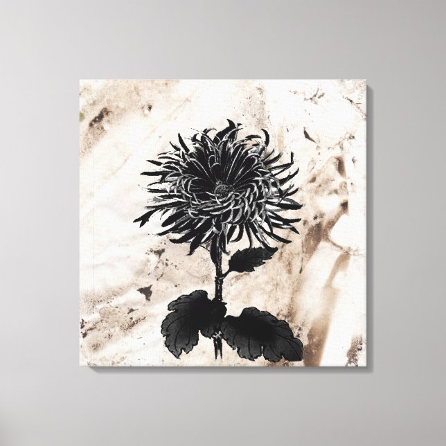 Mum Grandiflora Black Canvas Print (Front)