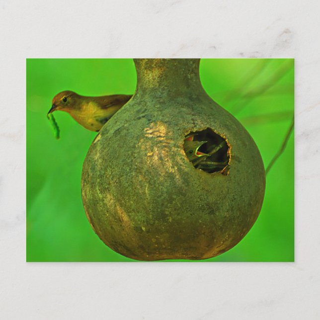 mum I know you are here Postcard (Front)