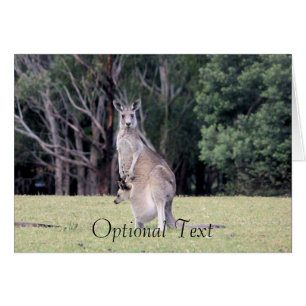 Mum Kangaroo with Baby Joey in Her Pouch
