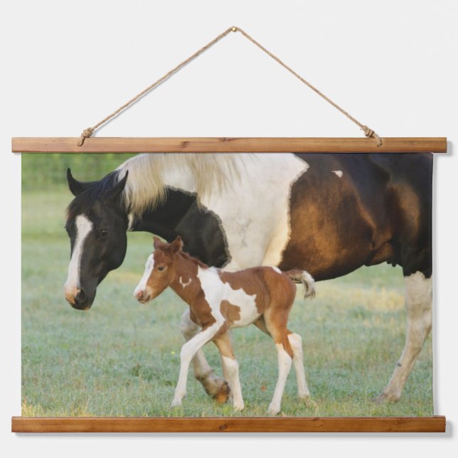 Mum & Newborn Paint Filly Hanging Tapestry (Front)