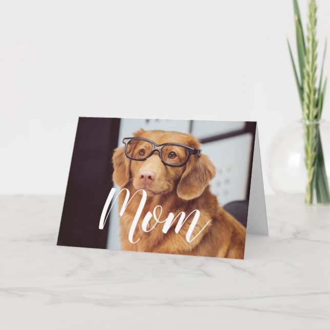 Mum Pet Photo Happy Mothers Day Cute Funny Dog Mum Card (Front)