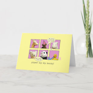 Mum-to-be Baby Girl Animals in Windows Card