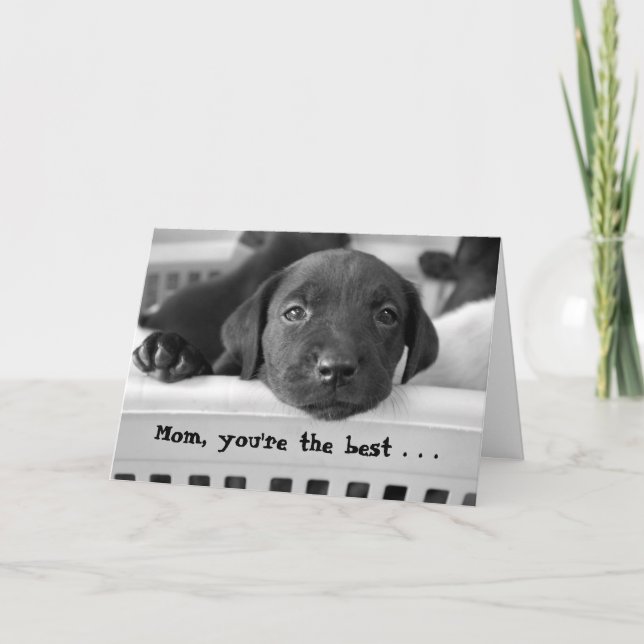Mum, you're the best . . . card (Front)