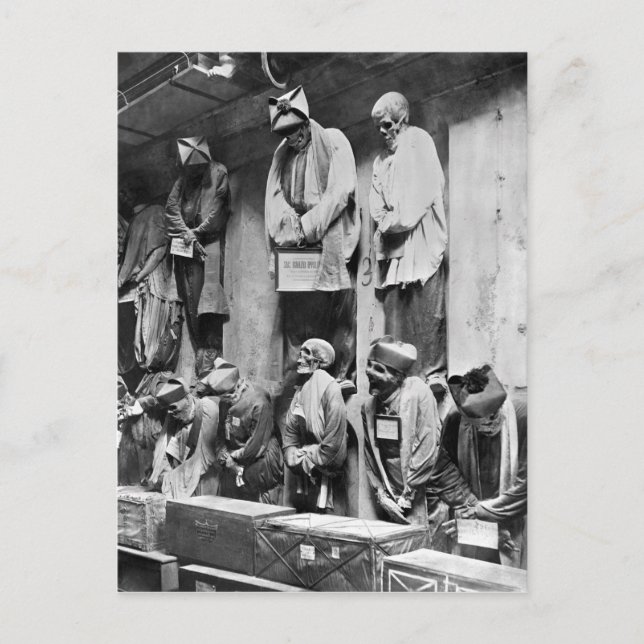 Mummies of catacomb in Palermo, Italy Postcard (Front)