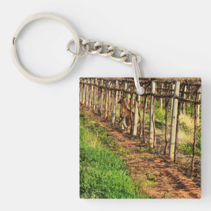 Mummy And Baby Australian Kangaroo, Key Ring