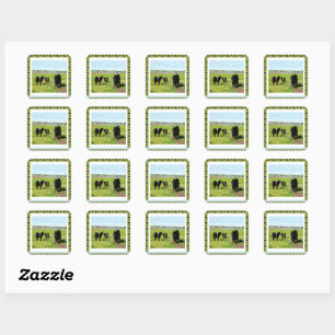 Mummy And Baby Belted Galloway Cows, Square Sticker