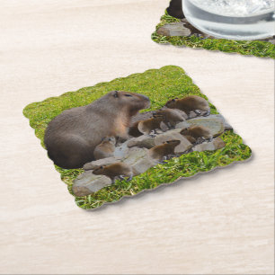 Mummy And Baby Capybaras, Paper Coaster
