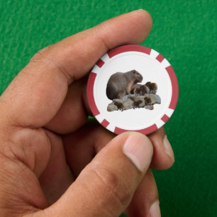 Mummy And Baby Capybaras, Poker Chips