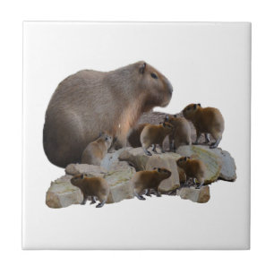 Mummy And Baby Capybaras, Tile