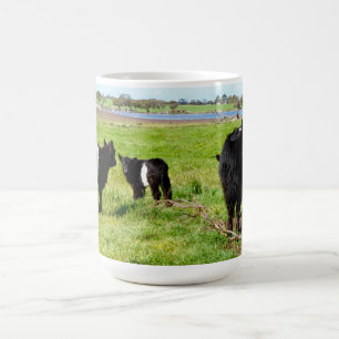 Mummy And Baby Galloway Cow, Coffee Mug