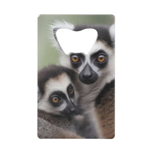 Mummy And Baby Lemur Cuddling,