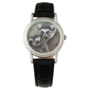 Mummy And Baby Lemur Cuddling, Watch