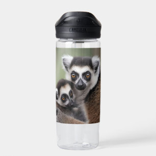 Mummy And Baby Lemur Cuddling, Water Bottle