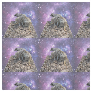 Mummy And Baby Meerkat, Fabric