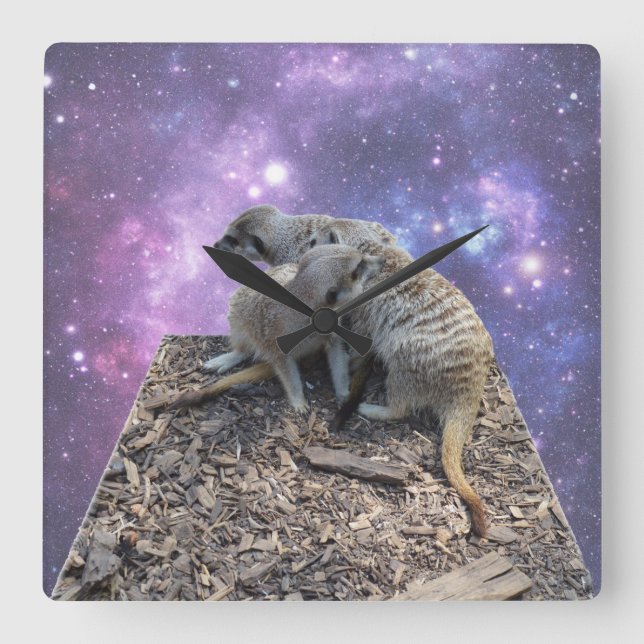 Mummy And Baby Meerkat, Square Wall Clock (Front)