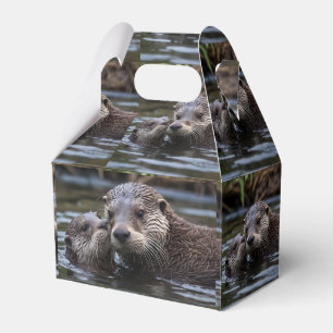 Mummy And Baby Otter Having A Cuddle In The River, Favour Box